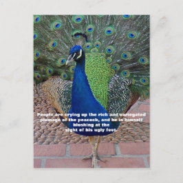 Pfauenquote Postkarte
