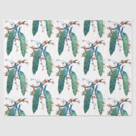 Pfauenreihe 6 seidenpapier