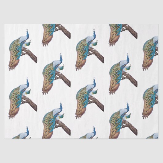 Pfauenreihe - Design 9 Seidenpapier (Vorderseite)