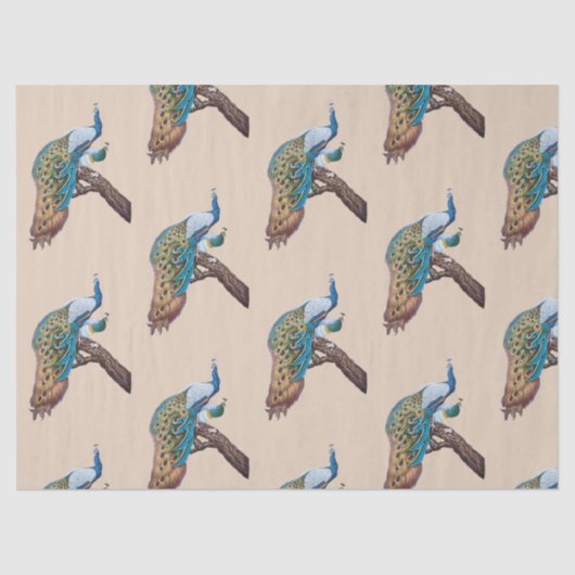 Pfauenreihen Design 9 - braunes Gewebepapier Seidenpapier (Vorderseite)