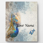 Pfauensammlung Paris Fotoplatte (Vorderseite)