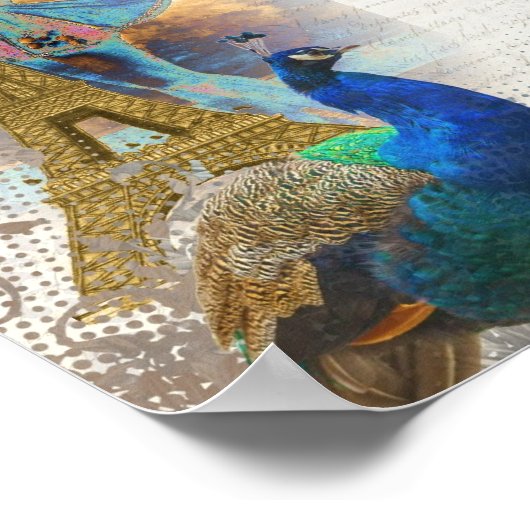 Pfauensammlung Paris Poster (Ecke)