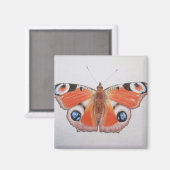 Pfauenschmetterling 2012 magnet (Vorderseite/Rückseite)