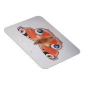 Pfauenschmetterling 2012 magnet (Rechte Seite)