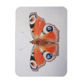 Pfauenschmetterling 2012 magnet (Vertikal)