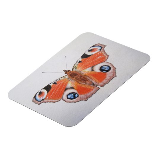 Pfauenschmetterling 2012 magnet (Linke Seite)