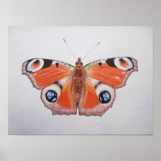 Pfauenschmetterling 2012 poster (Vorne)