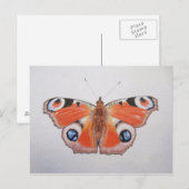 Pfauenschmetterling 2012 postkarte (Vorne/Hinten)