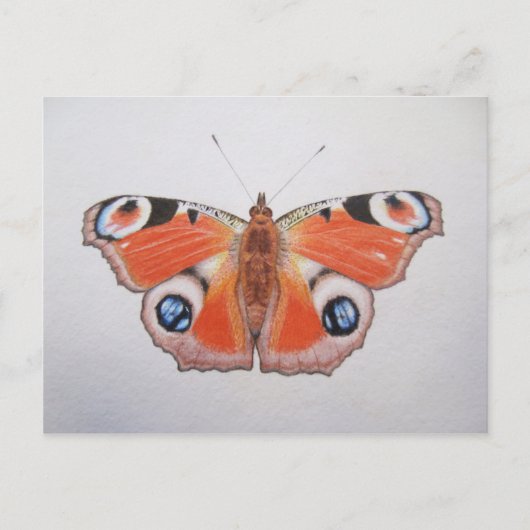 Pfauenschmetterling 2012 postkarte (Vorderseite)