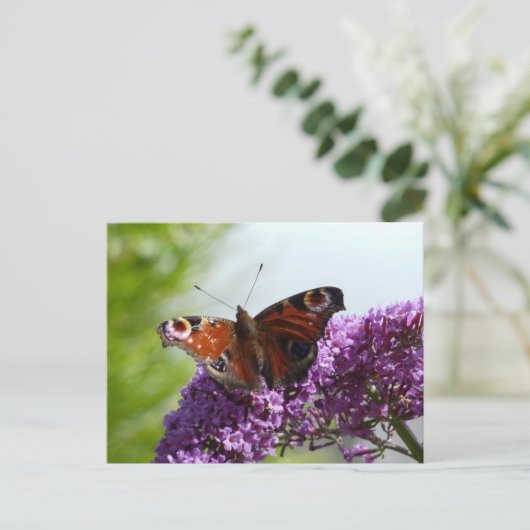 Pfauenschmetterling 2 postkarte (Stehend Vorderseite)