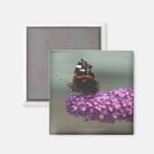 Pfauenschmetterling auf Blume Magnet (Vorderseite/Rückseite)