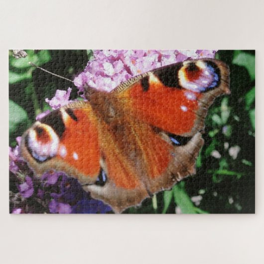 Pfauenschmetterling auf Mauve Buddleia 20 x 30 101 Puzzle (Horizontal)