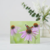 Pfauenschmetterling (Inachis io), Trinknektar Postkarte (Stehend Vorderseite)