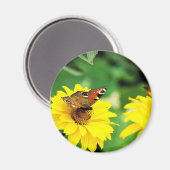 Pfauenschmetterling - Magnet (Vorderseite/Rückseite)