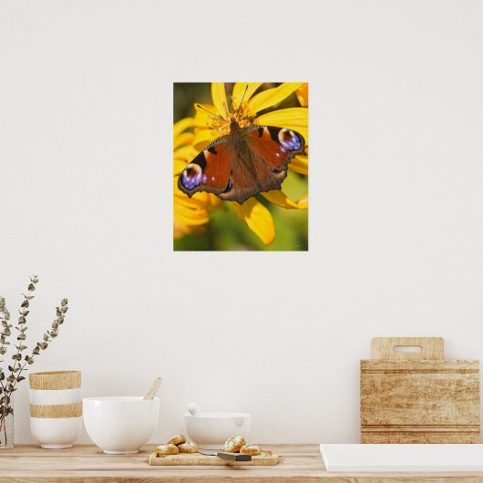 Pfauenschmetterling Poster (Küche)