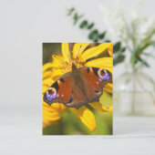 Pfauenschmetterling Postkarte (Stehend Vorderseite)