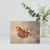 Pfauenschmetterling-Postkarte Postkarte (Stehend Vorderseite)