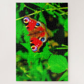 Pfauenschmetterling. Puzzle (Vertikal)