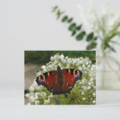 Pfauenschmetterling-Raupe Postkarte (Stehend Vorderseite)