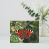 Pfauenschmetterling-Raupe Postkarte (Stehend Vorderseite)