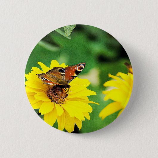 Pfauenschmetterling - Schaltfläche Button (Vorderseite)