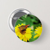 Pfauenschmetterling - Schaltfläche Button (Vorne & Hinten)