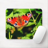 Pfauenschmetterling, Schmetterling, Blätter Mousepad (Mit Mouse)
