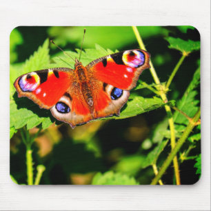 Pfauenschmetterling, Schmetterling, Blätter Mousepad