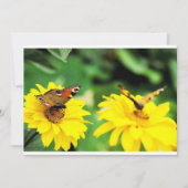 Pfauenschmetterlinge - Einladung (Vorderseite)