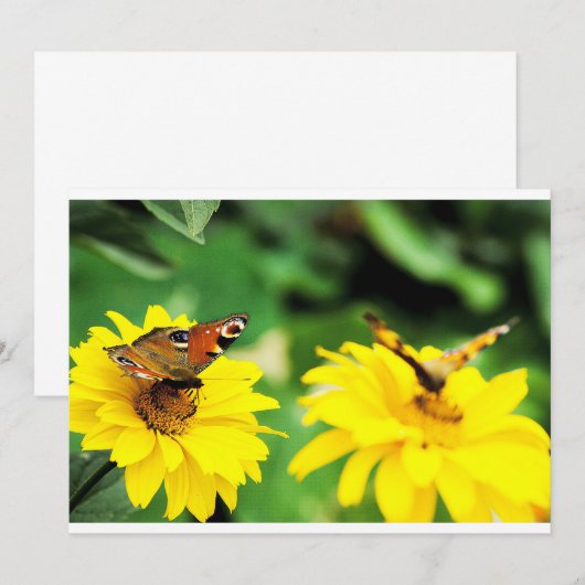 Pfauenschmetterlinge - Einladung (Vorne/Hinten)