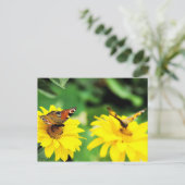Pfauenschmetterlinge - Postkarte (Stehend Vorderseite)