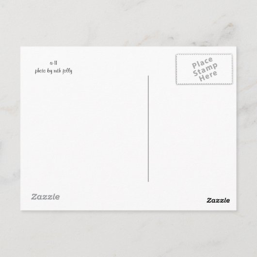 Pfauenschmetterlingskarte Postkarte (Rückseite)