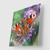 Pfauenschmetterlingsplatz Uhr (Winkel)