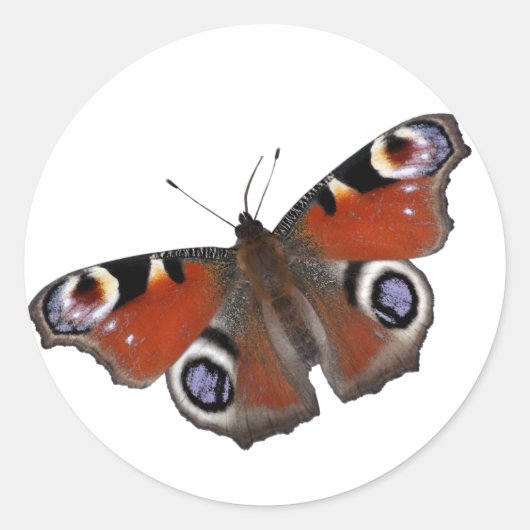 Pfauenschmetterlingstich Runder Aufkleber (Vorderseite)