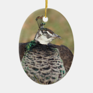 Pfauenschmuck Keramik Ornament