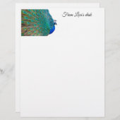 Pfauenstationär Briefbogen (Vorne/Hinten)