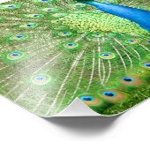 Pfauenstruktur Fotodruck (Ecke)