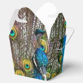Pfauenvögel auf Anzeige Geschenkschachtel (Geöffnet)