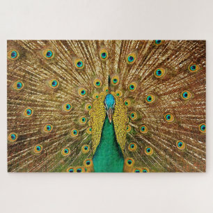 Pfauenvogel Foto Puzzle