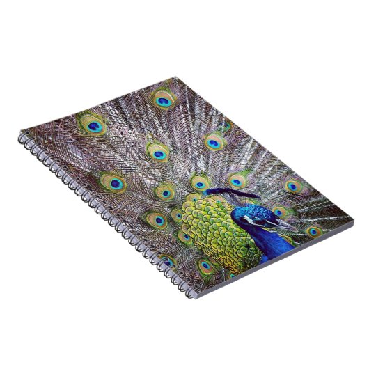 Pfauenvogelfedern Notizblock (Rechte Seite)