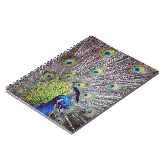 Pfauenvogelfedern Notizblock (Linke Seite)