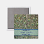 PfauenWedding speichert das Datum Magnet (Vorderseite/Rückseite)