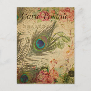 Pfaufeather im französischen Vintage-Stil auf eine Postkarte