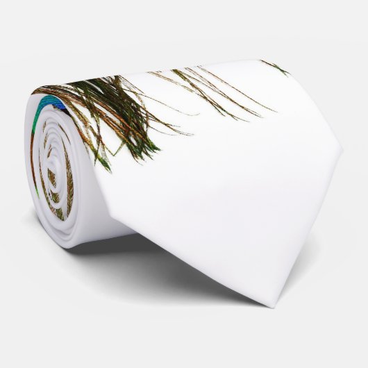 Pfaufeder Krawatte (Gerollt)