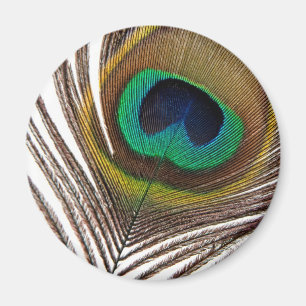 Pfaufeder Magnet
