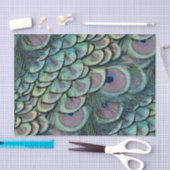 Pfaufedern Seidenpapier (Handwerk)