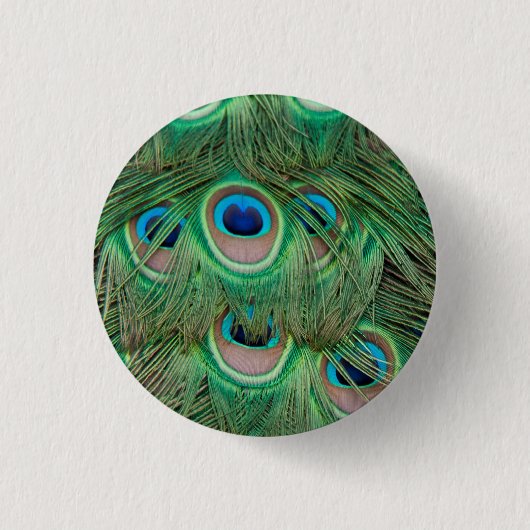 Pfaugefieder Button (Vorderseite)
