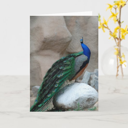 Pfaugruß- oder -anmerkungskarte karte (Gelbe Blume)