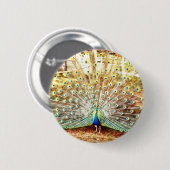 Pfauknopf Button (Vorne & Hinten)