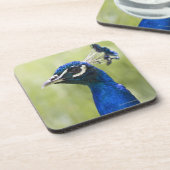 Pfaukopf Getränkeuntersetzer (Linke Seite)